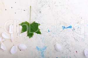 ornate floral background and green leaf