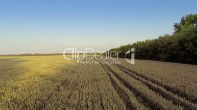 Flying over fields