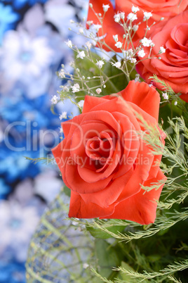 A close up macro shot of a red rose