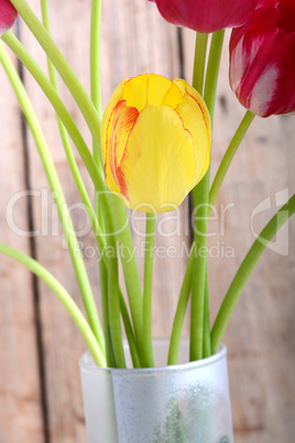 bouquet of tulips. spring flower