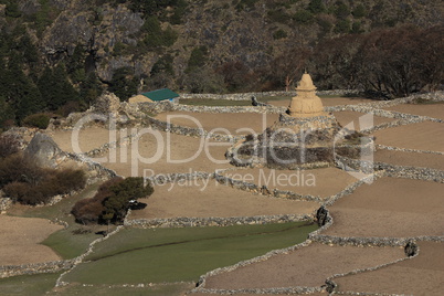 Old stupa and fields in Phortse