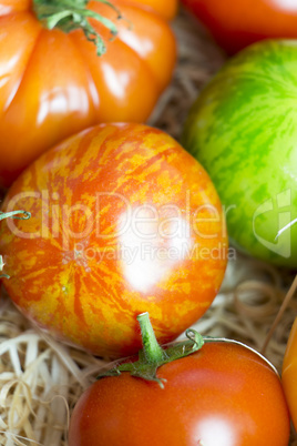 Assortment of different cultivars of tomatoes