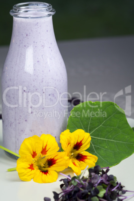 Fresh homemade yoghurt with garden herbs