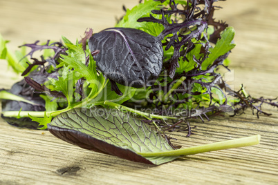 Selection of wild herbs and a Nasturtium flower