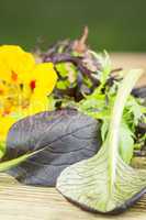 Selection of wild herbs and a Nasturtium flower