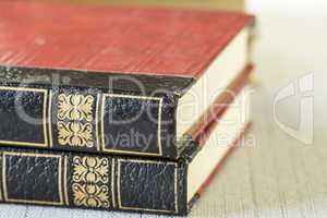 Texture of two leather gilt tooled vintage books