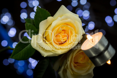 Rose, Candle and Jewelry Present Gift Box on Table