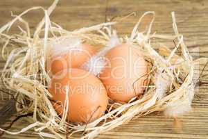 Close up Brown Eggs on the Nest