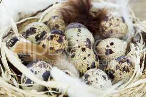 Quail Eggs in Feather Lined Basket