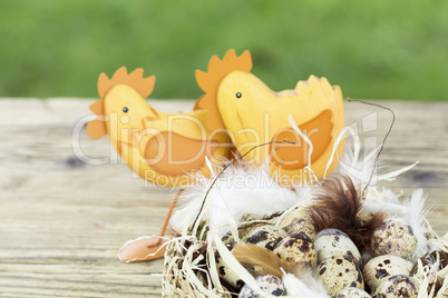 Quail Eggs in Feather Lined Basket