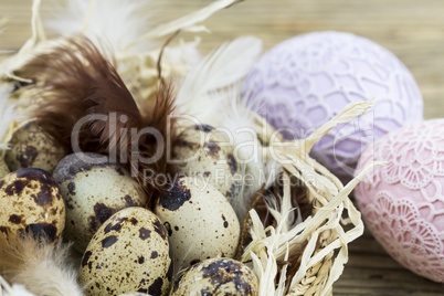 Quail Eggs in Feather Lined Basket