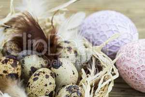 Quail Eggs in Feather Lined Basket