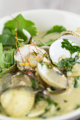 Bowl of delicious seafood ragout with coriander