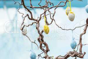 Pretty polka dot Easter eggs hanging in a tree