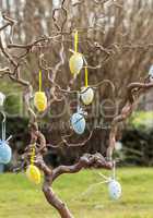 Pretty polka dot Easter eggs hanging in a tree