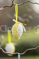 Pretty polka dot Easter eggs hanging in a tree