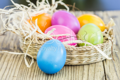 Basket of colorful Easter eggs with spring tulips