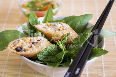 Delicious spring roll appetizer