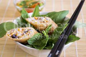 Delicious spring roll appetizer