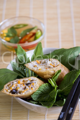 Delicious spring roll appetizer