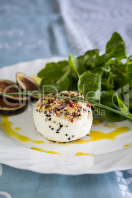 Delicious appetizer of goats milk cheese and figs