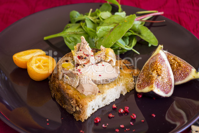 Gourmet French foie gras open sandwich
