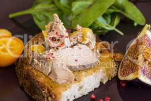 Gourmet French foie gras open sandwich