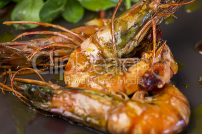 Grilled seasoned pink prawns