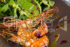 Grilled seasoned pink prawns