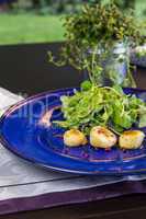 Three grilled Saint Jacques with herb salad