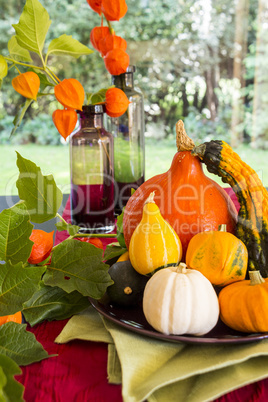 Colorful autumn or Thanksgiving background