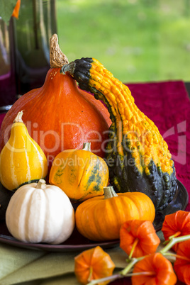 Colorful autumn or Thanksgiving background