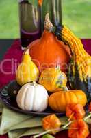 Colorful autumn or Thanksgiving background