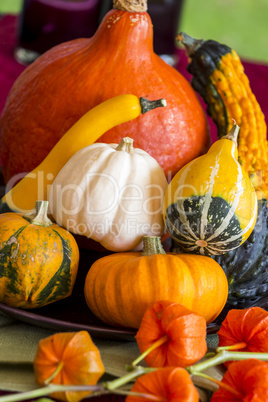 Colorful autumn or Thanksgiving background