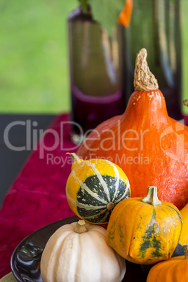 Colorful autumn or Thanksgiving background