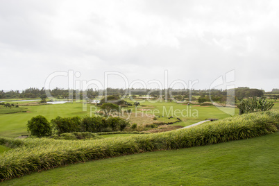 Lush green fairways on a golf course