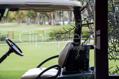 Lush green fairways on a golf course