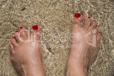 Female feet in sparkling sunlit water