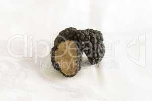 Black Perigord truffles, Tuber melanosporum