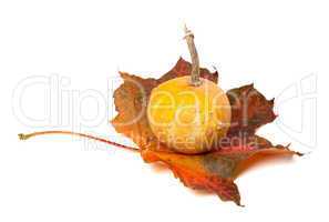 Decorative pumpkin on red autumn maple-leaf