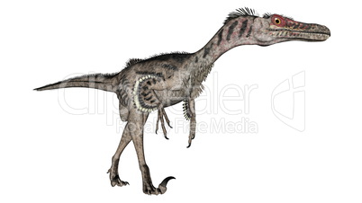 Velociraptor dinosaur - 3D render