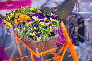 Fahrrad mit Blumenkasten