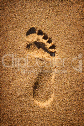 Footprint in the sand