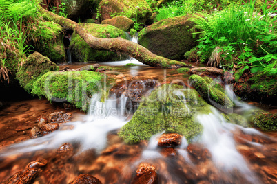 Stream gently cascading down a mountain forest