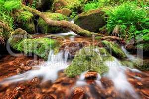 Stream gently cascading down a mountain forest