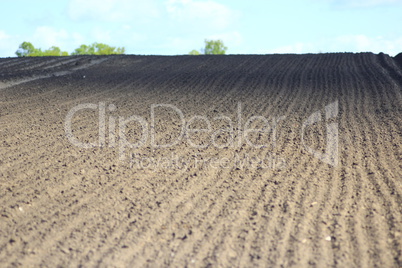 plowed land ready for planting potato in the village