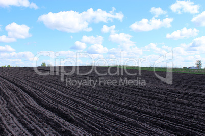 plowed land ready for planting potato in the village