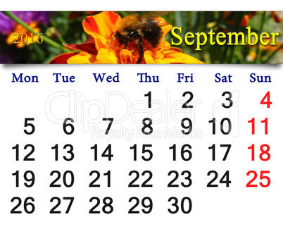 calendar for September 2016 with tagetes