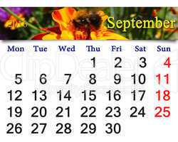 calendar for September 2016 with tagetes