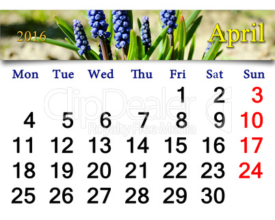 calendar for April of 2016 with muscari